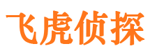 城厢调查公司